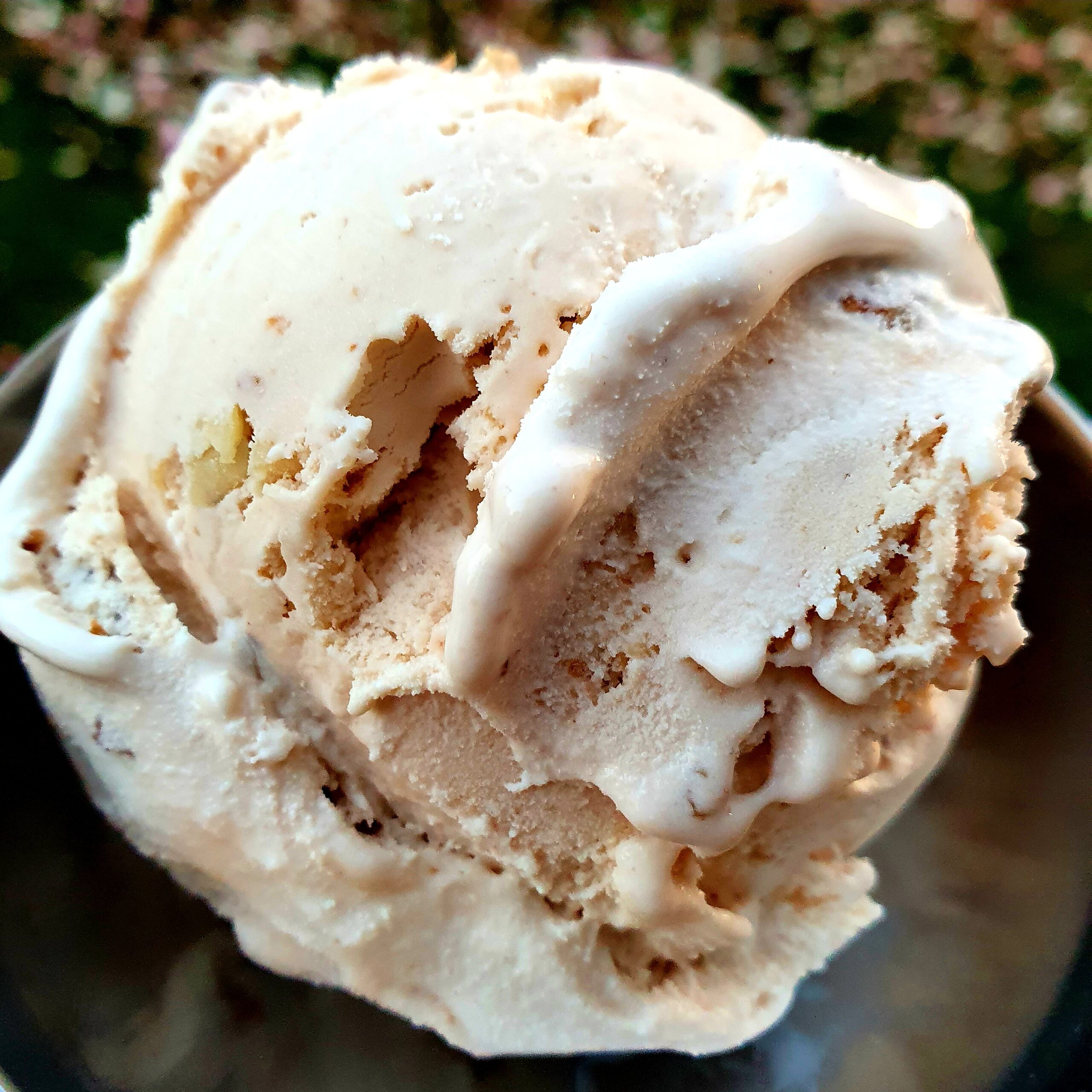 Walnut Ice Cream with maple syrup-image